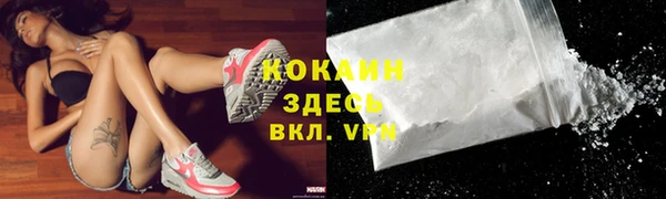 шишки Алексин