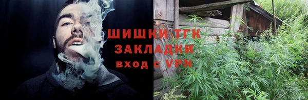 дмт Алзамай