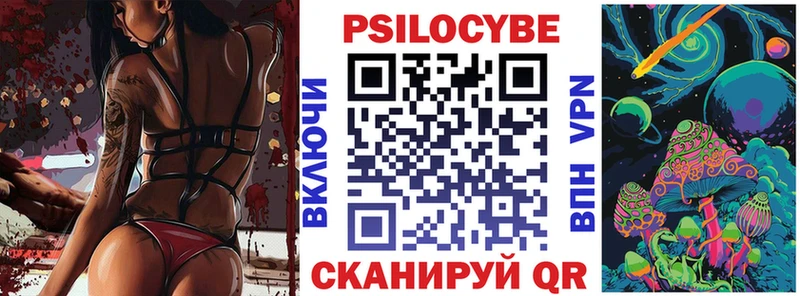 купить наркотик  Южно-Сухокумск  Галлюциногенные грибы Psilocybine cubensis 
