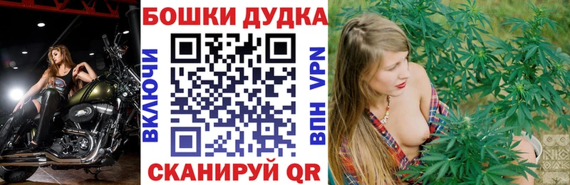 darknet формула  хочу наркоту  Южно-Сухокумск  Каннабис SATIVA & INDICA 